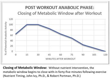 Anabolic Window